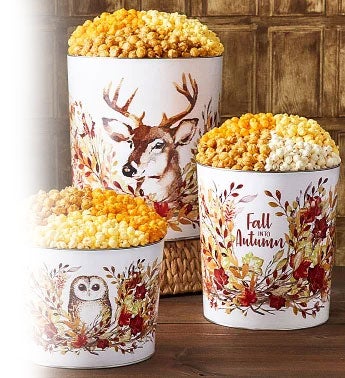 Popcorn Tins